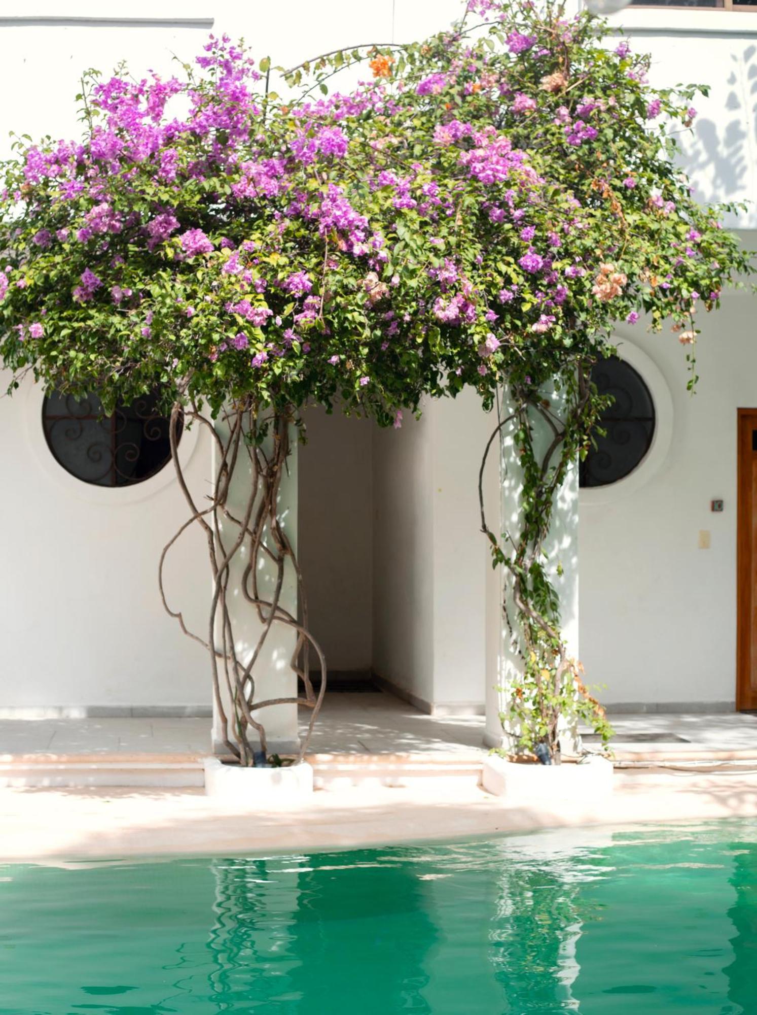 Sonido Del Mar Hotel Boutique & Yoga Loft Tulum Kültér fotó